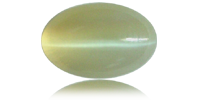 Cat's Eye