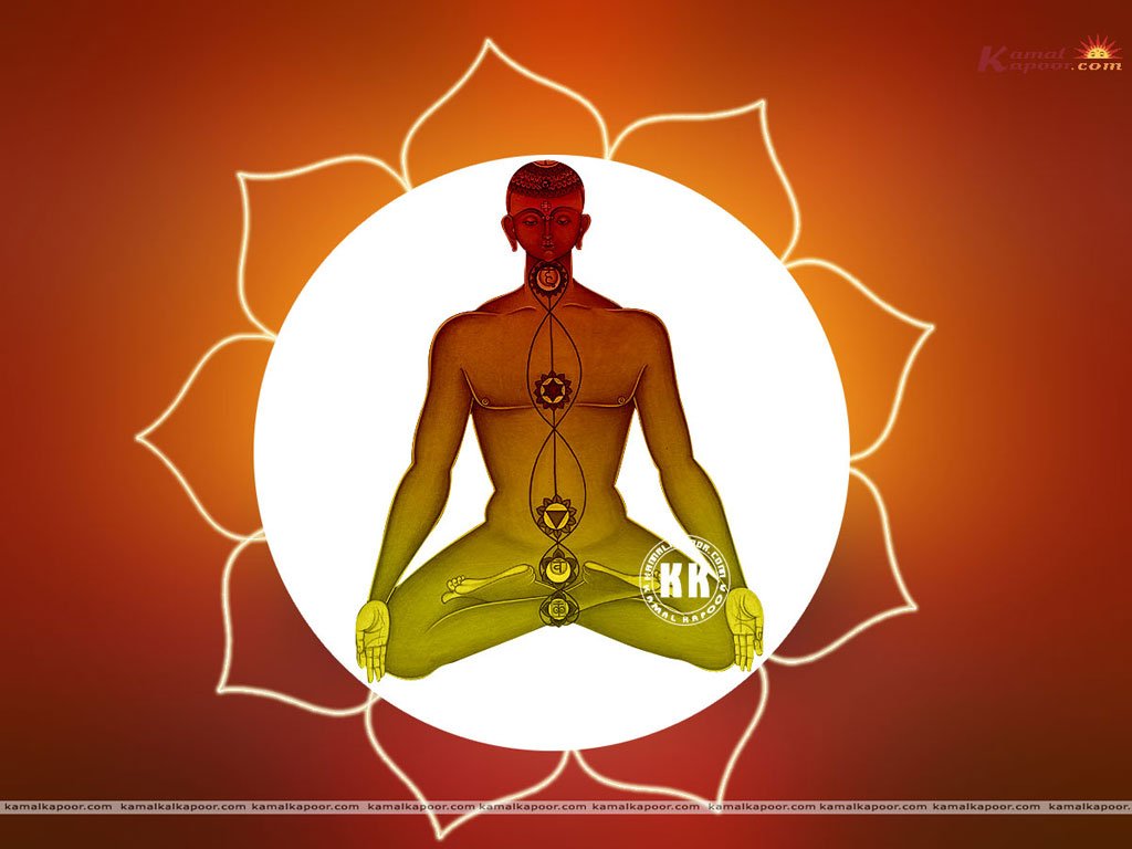 Yoga & Meditation