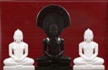 Digambari Jain