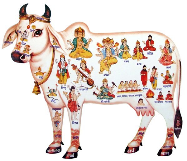 Gau Seva