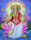 Gayatri Devi